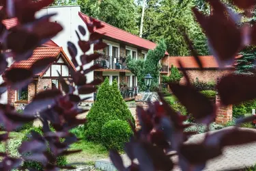 Søstrand nær Zalesie Masuria - svømning og afslapning